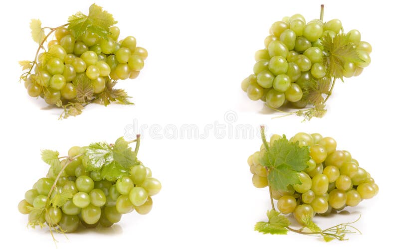Manojo de uvas verdes aisladas en el fondo blanco Sistema o colección imagen de archivo libre de regalías