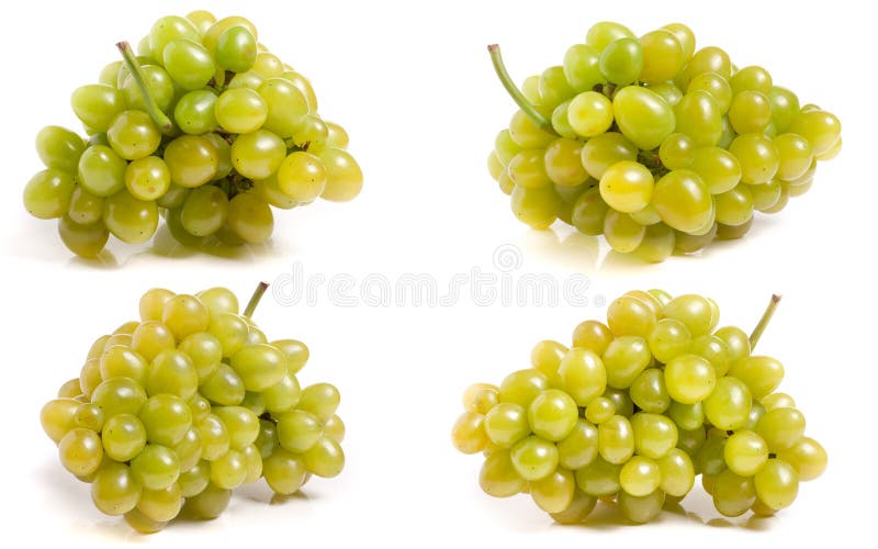 Manojo de uvas verdes aisladas en el fondo blanco Sistema o colección foto de archivo