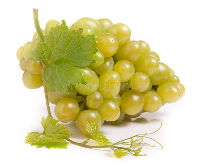 Manojo de uvas verdes con la hoja aislada en el fondo blanco fotografía de archivo libre de regalías
