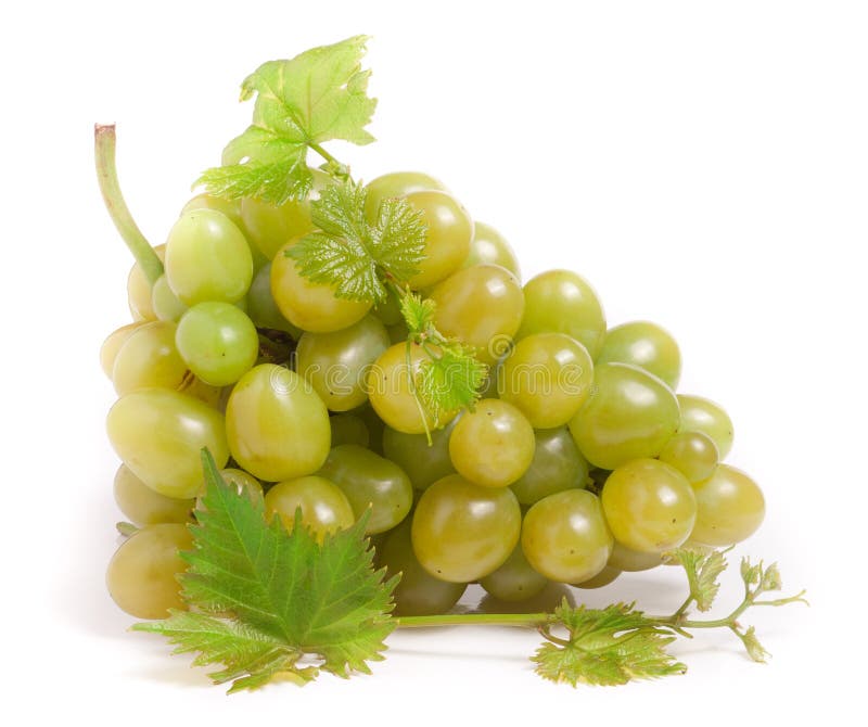 Manojo de uvas verdes con la hoja aislada en el fondo blanco fotografía de archivo libre de regalías