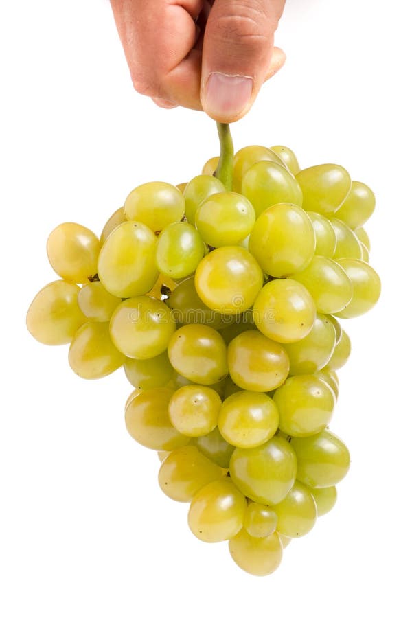 Manojo de uvas verdes en una mano aislada en el fondo blanco fotografía de archivo libre de regalías