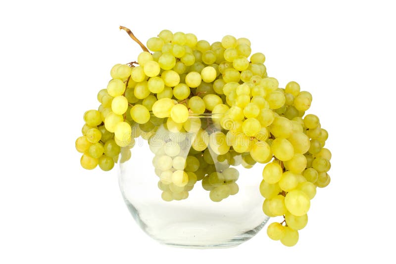 Manojos de uvas verdes en el florero redondo de cristal en el fondo blanco del espejo con descensos de la reflexión y del agua ai fotos de archivo Manojos de uvas verdes en el florero redondo de cristal en el fondo blanco del espejo con descensos de la reflexión y del agua ai fotos de archivo