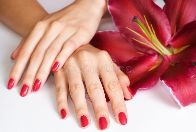 Manos con la manicura y el lirio rosados fotografía de archivo libre de regalías Manos con la manicura y el lirio rosados fotografía de archivo libre de regalías