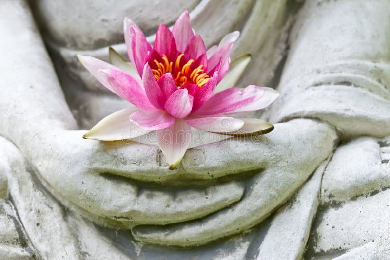 Manos de Buda que sostienen la flor