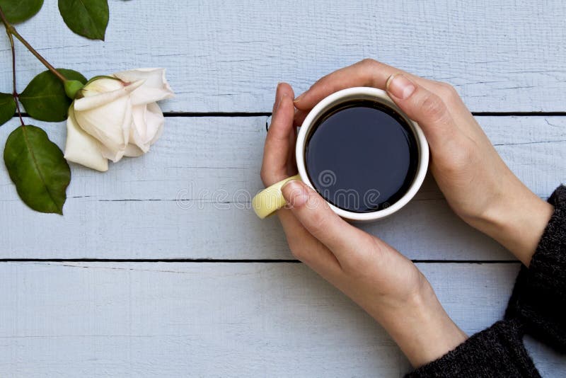 Manos de la mujer que sostienen la taza de caf? con la rosa blanca en fondo de madera fotografía de archivo Manos de la mujer que sostienen la taza de caf? con la rosa blanca en fondo de madera fotografía de archivo