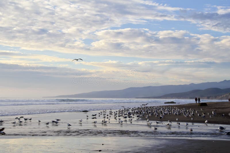 Manos de la playa, de las gaviotas, del océano y de la explotación agrícola de los pares imagenes de archivo Manos de la playa, de las gaviotas, del océano y de la explotación agrícola de los pares imagenes de archivo