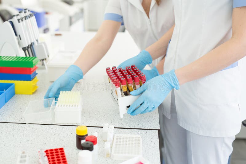 Manos de un técnico de laboratorio que sostiene un estante de los tubos de ensayo del color con las muestras de sangre de otros p fotografía de archivo Manos de un técnico de laboratorio que sostiene un estante de los tubos de ensayo del color con las muestras de sangre de otros p fotografía de archivo