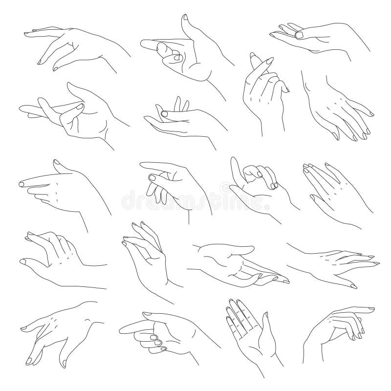 Manos Elegantes Y Tiernas Con Dedos Vector Stock de ilustración - Ilustración de idea, fino: 207791322 Manos Elegantes Y Tiernas Con Dedos Vector Stock de ilustración - Ilustración de idea, fino: 207791322