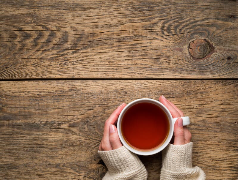 Manos femeninas que sostienen una taza de té negro caliente Blanco puro frío w imagen de archivo libre de regalías Manos femeninas que sostienen una taza de té negro caliente Blanco puro frío w imagen de archivo libre de regalías