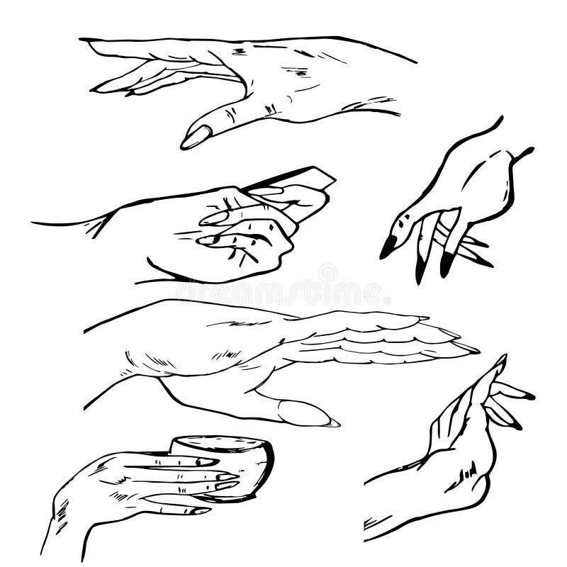 Manos, gráficos manuales libre illustration Manos, gráficos manuales libre illustration