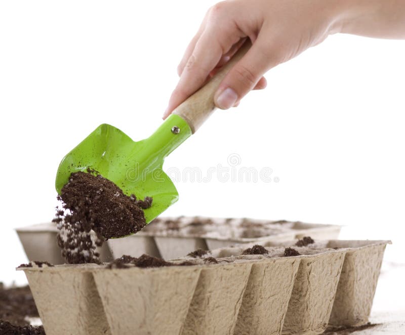 Manos usando la pala que coloca el suelo en los crisoles del estiércol vegetal imagen de archivo Manos usando la pala que coloca el suelo en los crisoles del estiércol vegetal imagen de archivo
