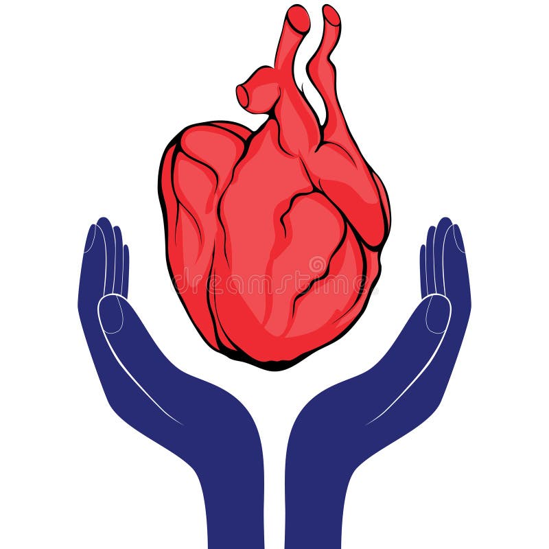 Manos y corazón Icono del día de San Valentín de la amabilidad y del vector de la caridad libre illustration Manos y corazón Icono del día de San Valentín de la amabilidad y del vector de la caridad libre illustration