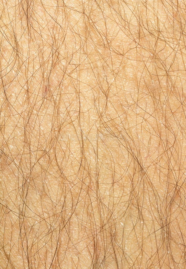 Hairy leg stock photo. Image of unwanted, laser, tanned 17861352