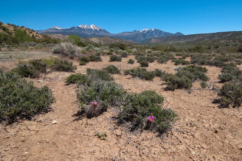 Manti-La Sal National Forest