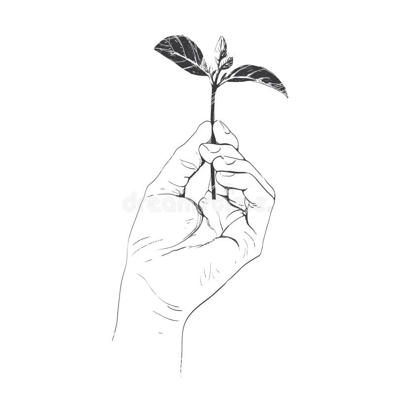 Mantiene in mano un germoglio vegetale che simboleggia la conservazione dell'ambiente royalty illustrazione gratis