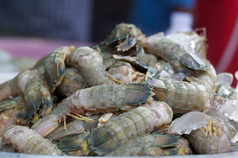 Mantis shrimp stock photo. Image of cooked, tail, claw 39828318