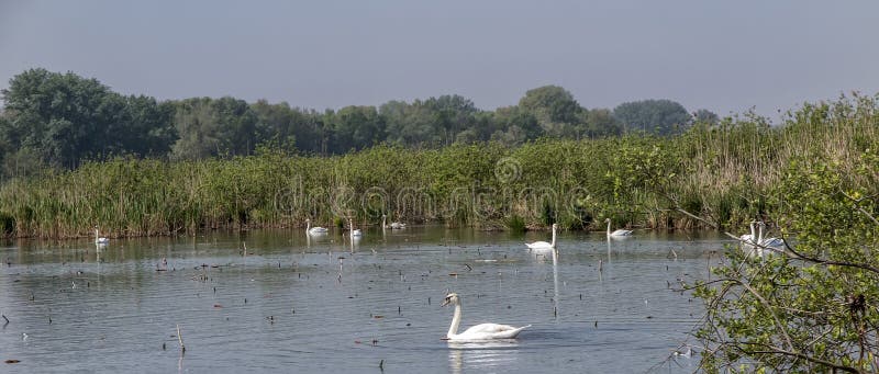 Mantua, Italy, Mincio river