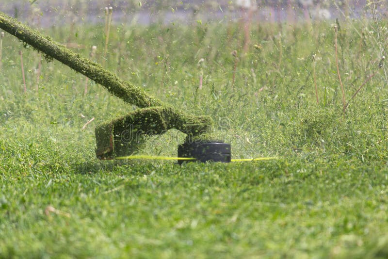Manual Lawn Mower Under the Sun on a Freshly Cut Meadow Stock Image
