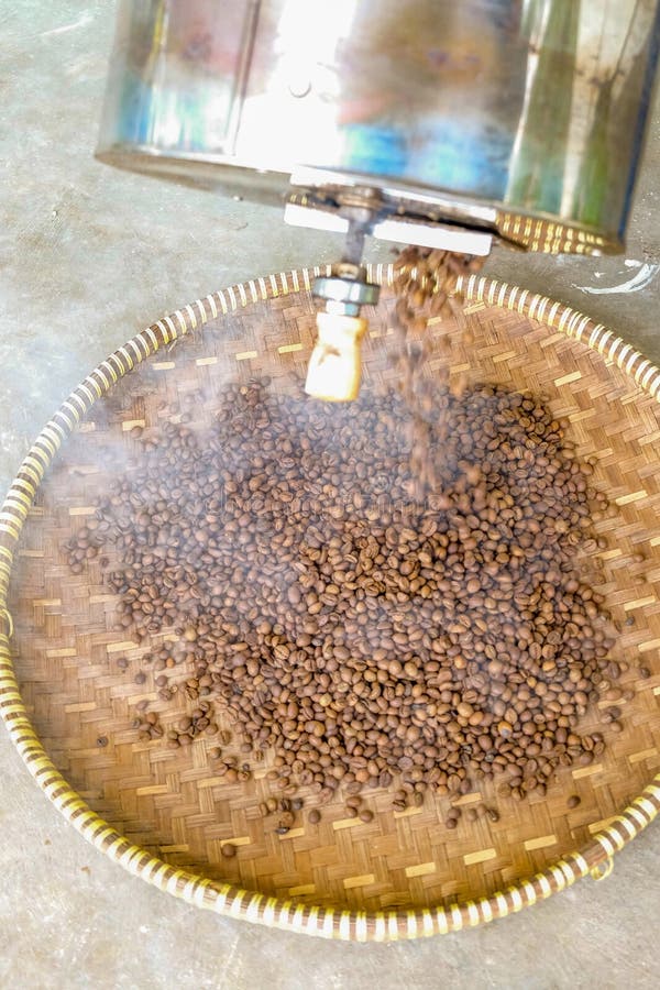 Manual Rolling Drum Coffee Roaster Stock Image Image of chiriqui