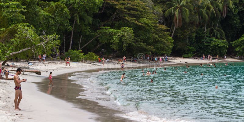 Manuel Antonio Beach, costa Rica royalty free stock images Manuel Antonio Beach, costa Rica royalty free stock images