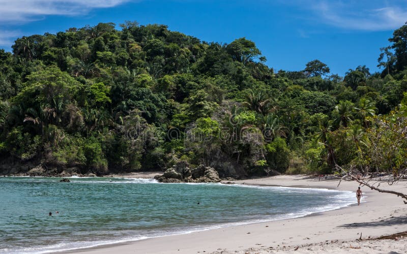 Manuel Antonio National Park fotografía de archivo Manuel Antonio National Park fotografía de archivo