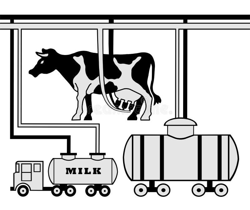 Milking the Cow in the Dairy Stock Photo Image of farm, animal 3997182