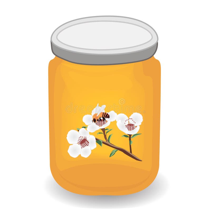 Manuka Honey and a Brunch of Manuka Blooming and a Bee Stock Vector -  Illustration of background, decoration: 114741066