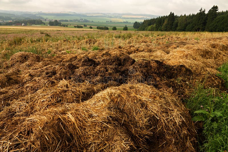 Manure heap