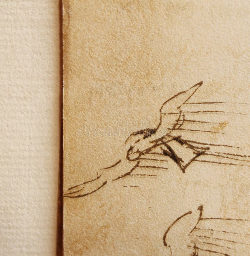Manuscript, Drawings, Bird S Flight by Leonardo Da Vinci in the Old