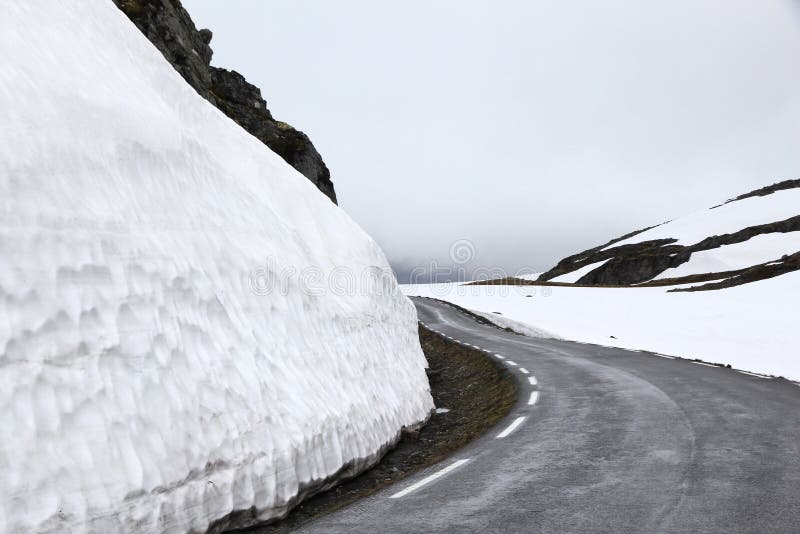 Estate Della Tundra Della Norvegia Immagine Stock - Immagine di