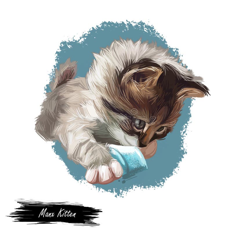 Manské kotě digitální umění ilustrace.