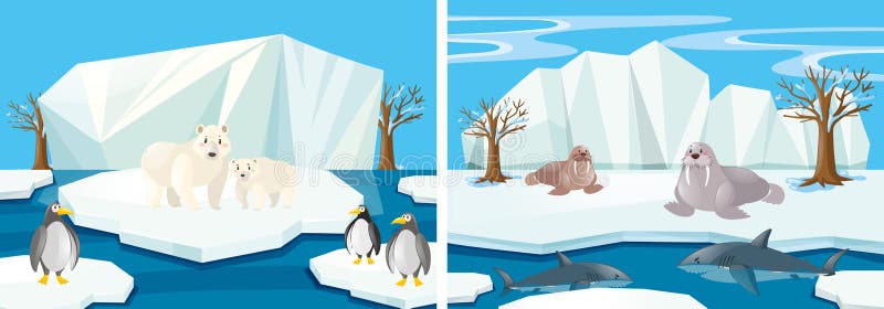 Many Animals in the North Pole Stock Vector - Illustration of cold, clip: 84394519 Many Animals in the North Pole Stock Vector - Illustration of cold, clip: 84394519