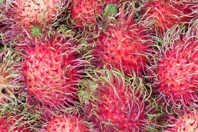 Many appetizing rambutans