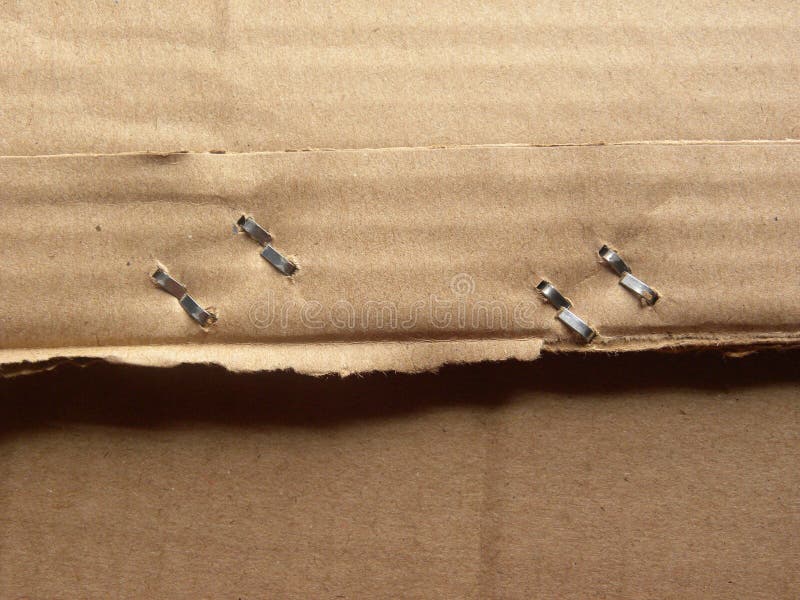 Back Staples on Cardboard Box Stock Photo Image of card, open 152317902
