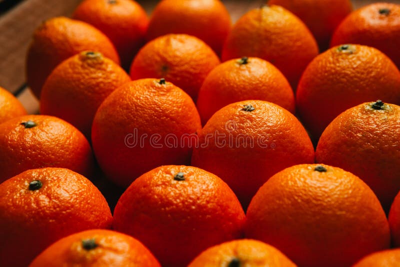 Many Beautiful Fresh Orange Tangerines Close Up Stock Photo Image of