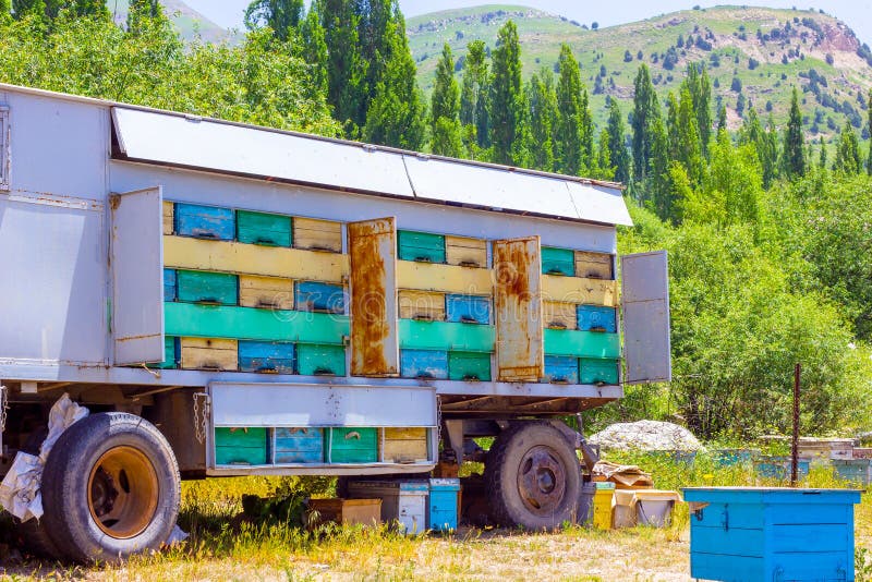 Many bee hives in the car truck (beekeeping wagon) on the country farm on the sunny summer day. stock images Many bee hives in the car truck (beekeeping wagon) on the country farm on the sunny summer day. stock images