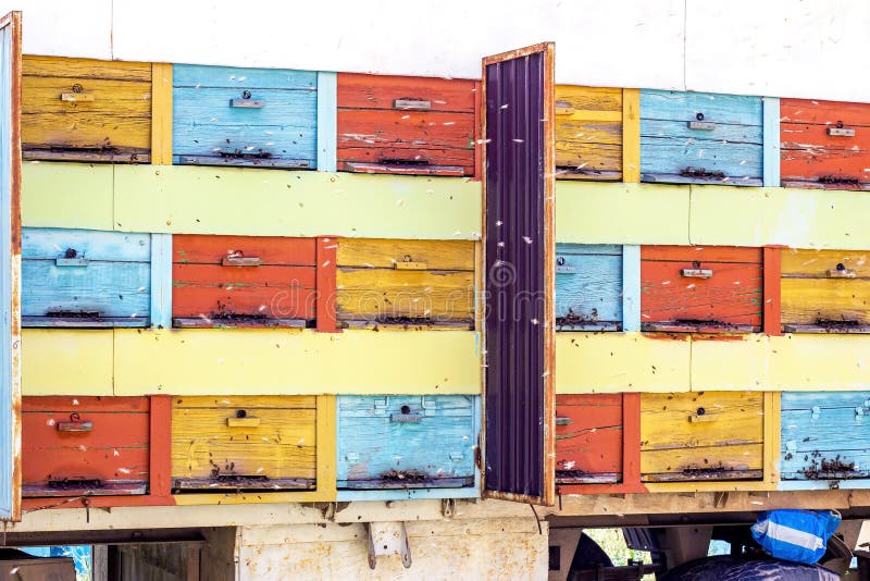 Many bee hives in the car truck (beekeeping wagon) on the country farm on the sunny summer day. royalty free stock photography Many bee hives in the car truck (beekeeping wagon) on the country farm on the sunny summer day. royalty free stock photography