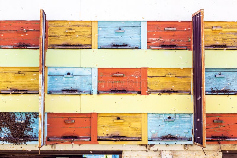 Many bee hives in the car truck (beekeeping wagon) on the country farm on the sunny summer day. stock photo Many bee hives in the car truck (beekeeping wagon) on the country farm on the sunny summer day. stock photo