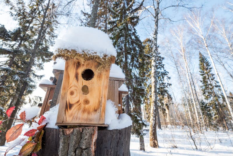 Many Birdhouses, For Birds And Feeders On The Tree. Houses For Birds In The Winter Under The Snow On The Tree. Bird