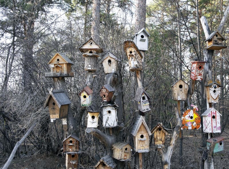 Many Birdhouses are Hung on Trees in the Spring Forest Stock Photo