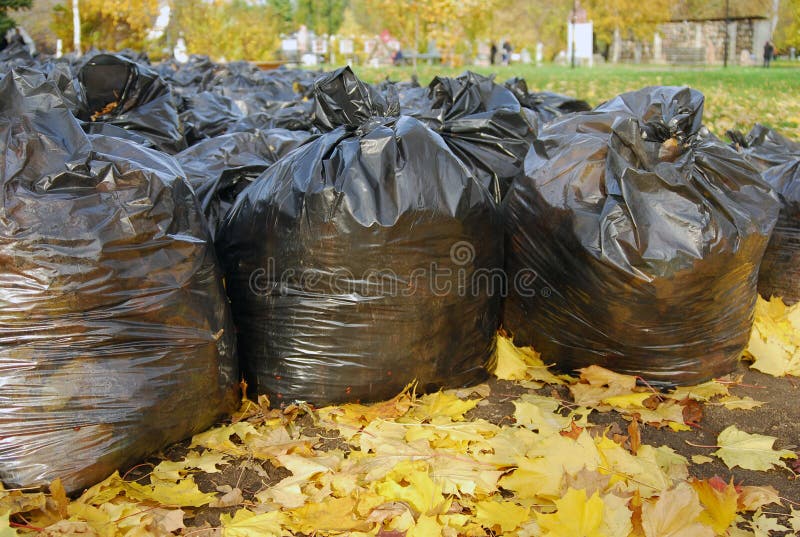 Lots of big black garbage bags for cleaning the autumn leaves on the street  in the park Stock Photo