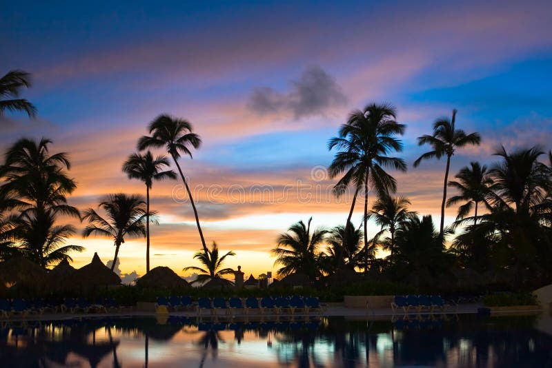 Many black palm on a night beach purple night