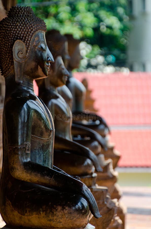 Many Buddhas meditate royalty free stock photo Many Buddhas meditate royalty free stock photo