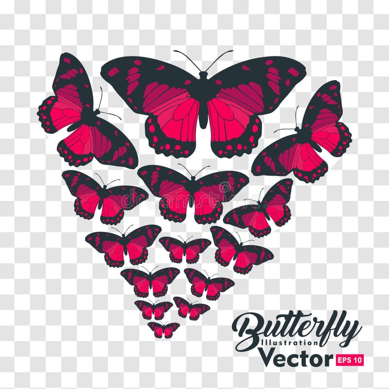 Many Butterflies Flying, Isolated on Transparent Background Stock Vector -  Illustration of graphic, elegance: 145810700
