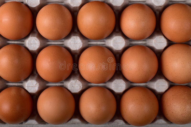Three even rows of brown chicken eggs in the nests of the carton royalty free stock photography Three even rows of brown chicken eggs in the nests of the carton royalty free stock photography