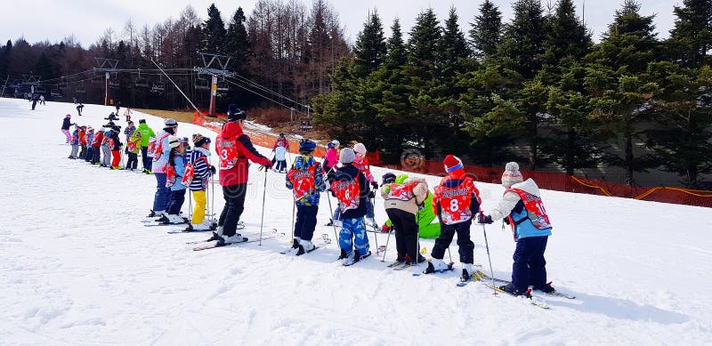 Many children learning and practice how to playing ski at jiten snow resort, Yamanashi, Japan.
