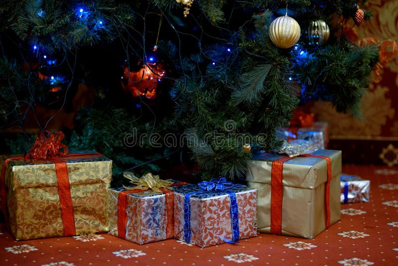 Many Christmas gifts under the fir tree. royalty free stock images