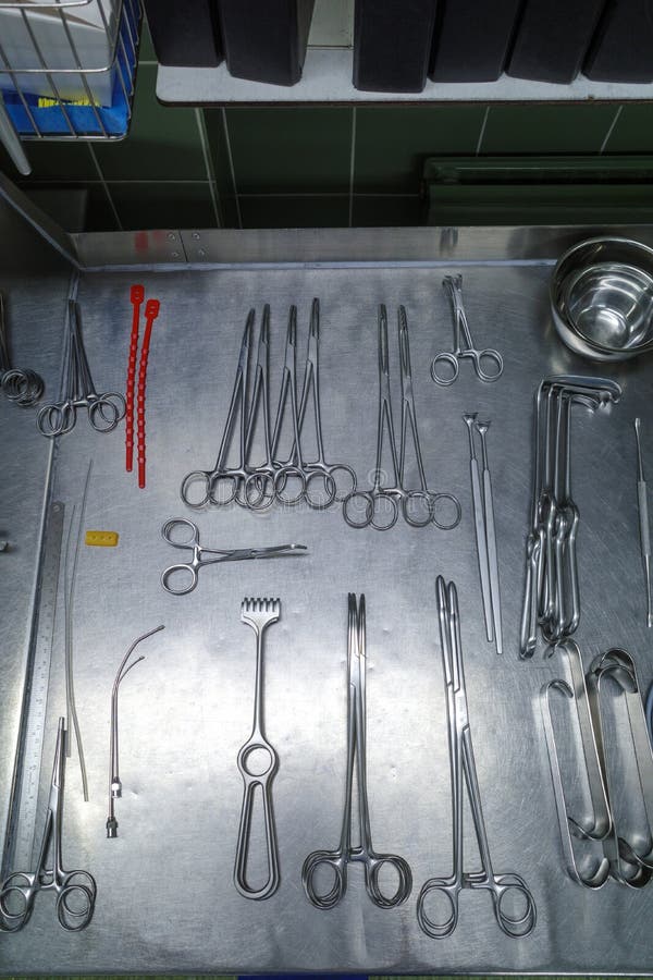 Many Cleaned Instruments for Performing Vascular Surgery Lie on a Metal