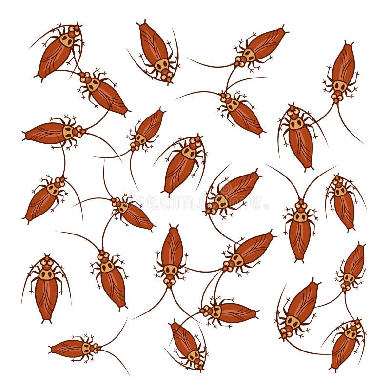 Many cockroaches stock vector. Illustration of cockroaches - 65540864