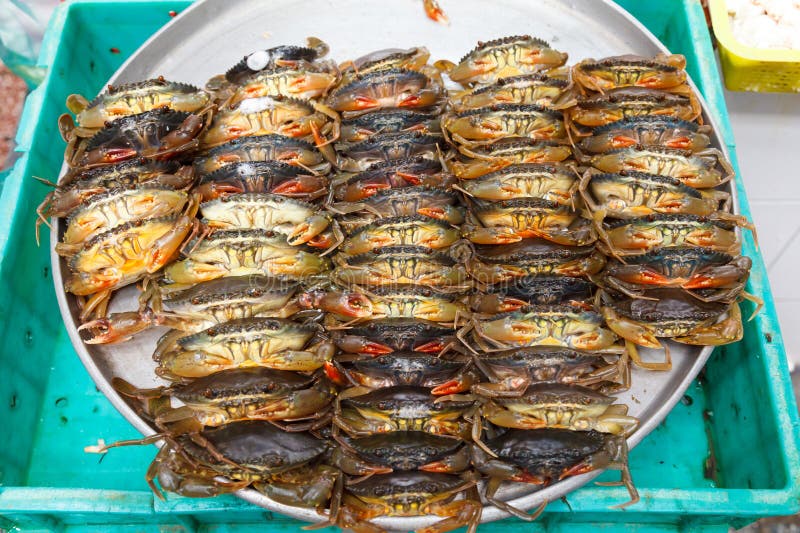 Fresh Crabs at the Dubai Fish Market, UAE Stock Image Image of